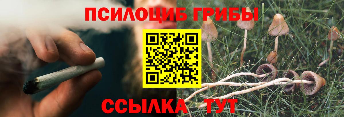Галлюциногенные грибы MAGIC MUSHROOMS  Вход с VPN  Усинск  Псилоцибиновые грибы GOLDEN TEACHER 